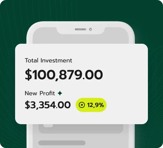 Alpition Portfolio